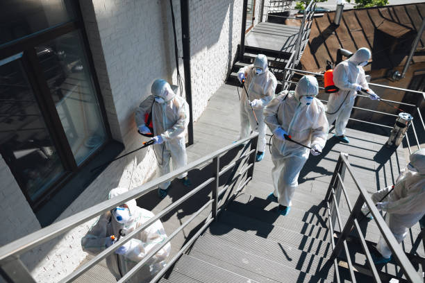 Professional Mold Removal in Sheridan, CO
