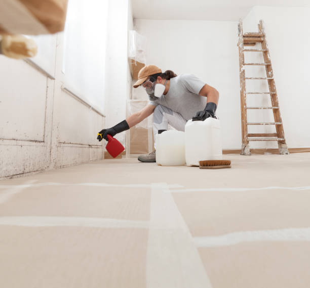 Best Attic Mold Removal  in Sheridan, CO